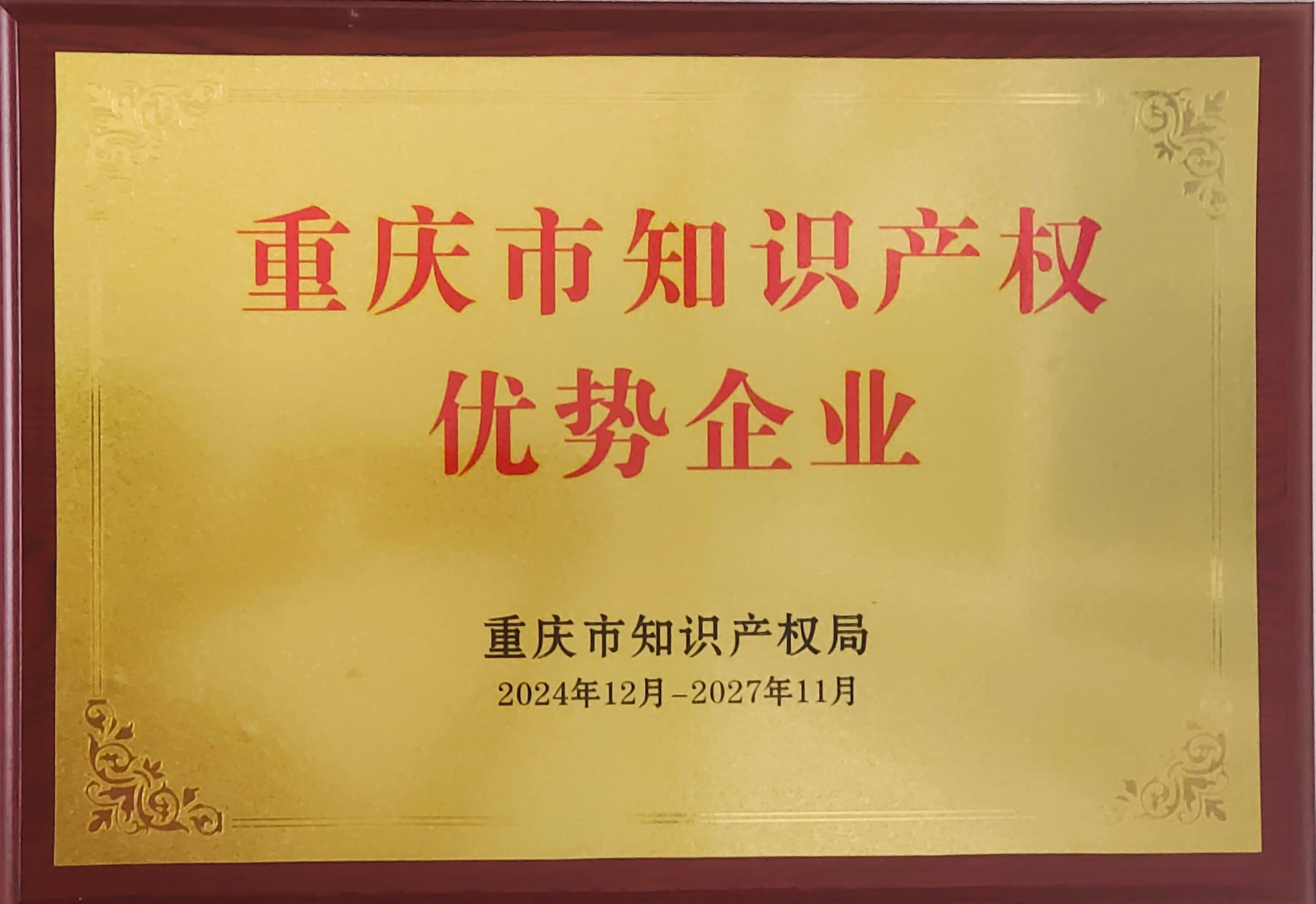 知识产权优势企业